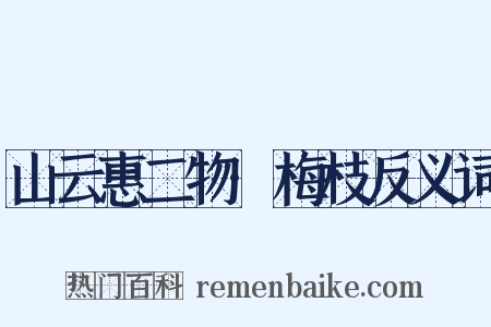 山云惠二物·梅枝反义词是什么意思的图片